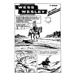 Wes Wesley /  Trapper John