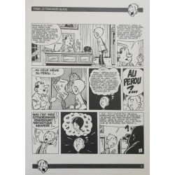 Dic Dinn 05 - TAMA, LE TAMANOIR BLANC